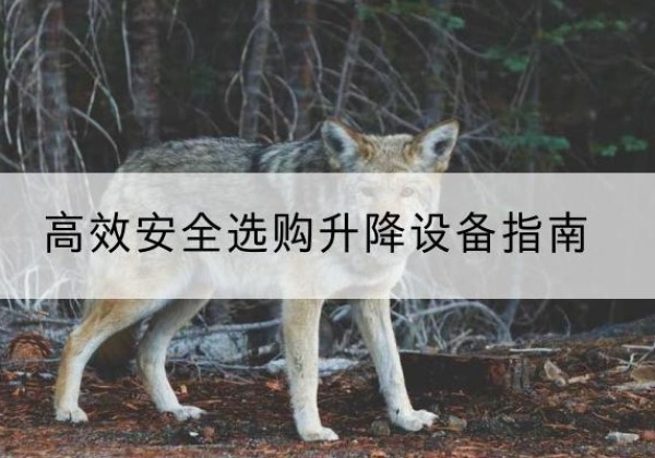 南芬升降货梯厂家推荐-*安全选购升降设备指南