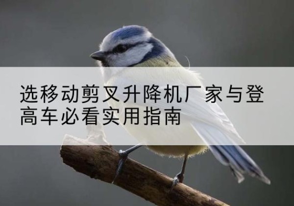 南芬电动升降机厂家-选移动剪叉升降机厂家与登高车必看实用指南