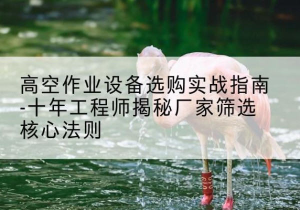 南芬剪叉式升降机厂家-高空作业设备选购实战指南-十年工程师揭秘厂家筛选核心法则